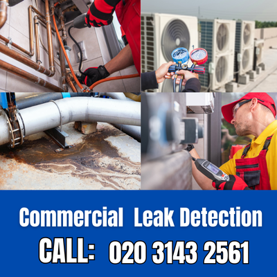 Commercial Leak Detection Services in Beddington | Beddington Leak Detection