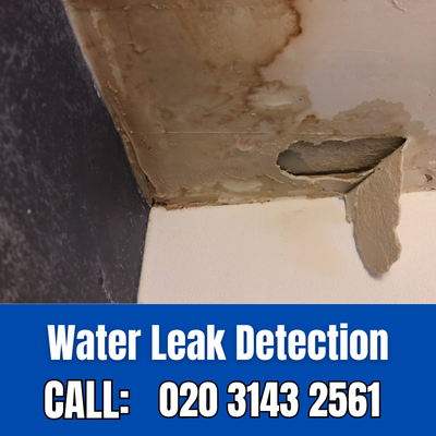 Expert Water Leak Detection Services in Beddington | Beddington Leak Detection